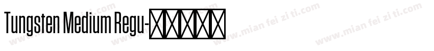 Tungsten Medium Regu字体转换
